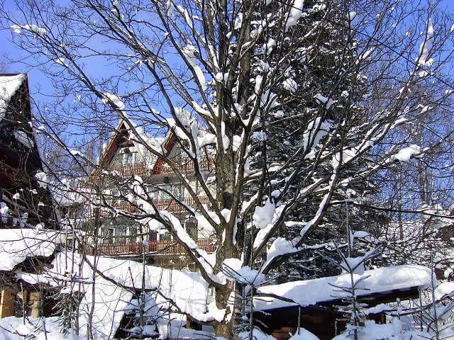 Domek Pod Reglami Appartement Zakopane Buitenkant foto